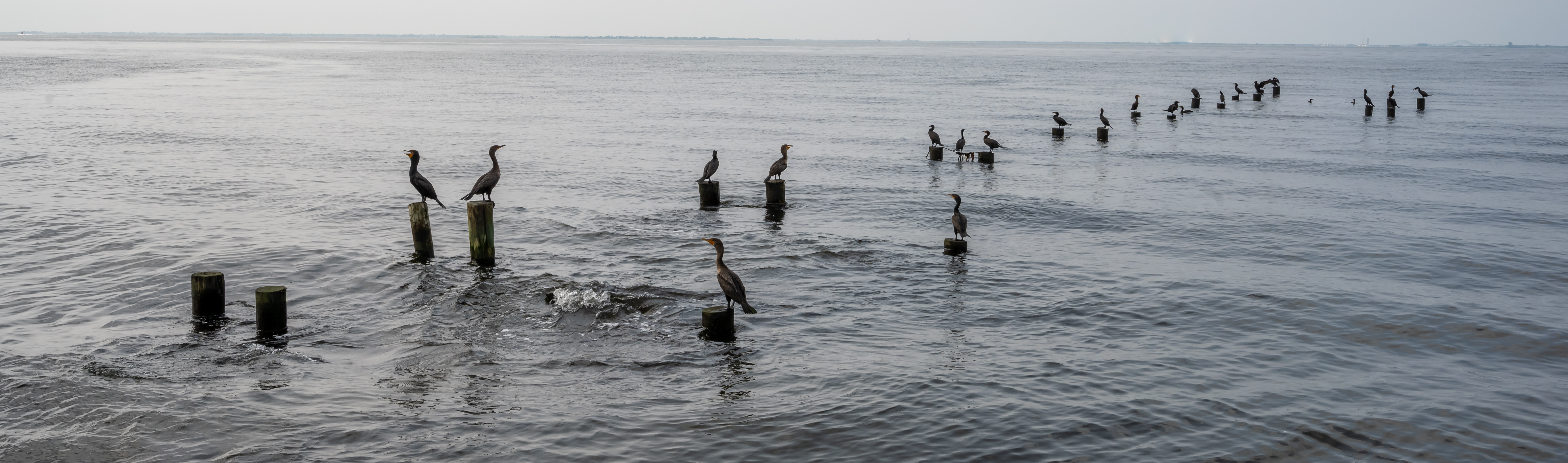 Great South Bay, Town of Islip